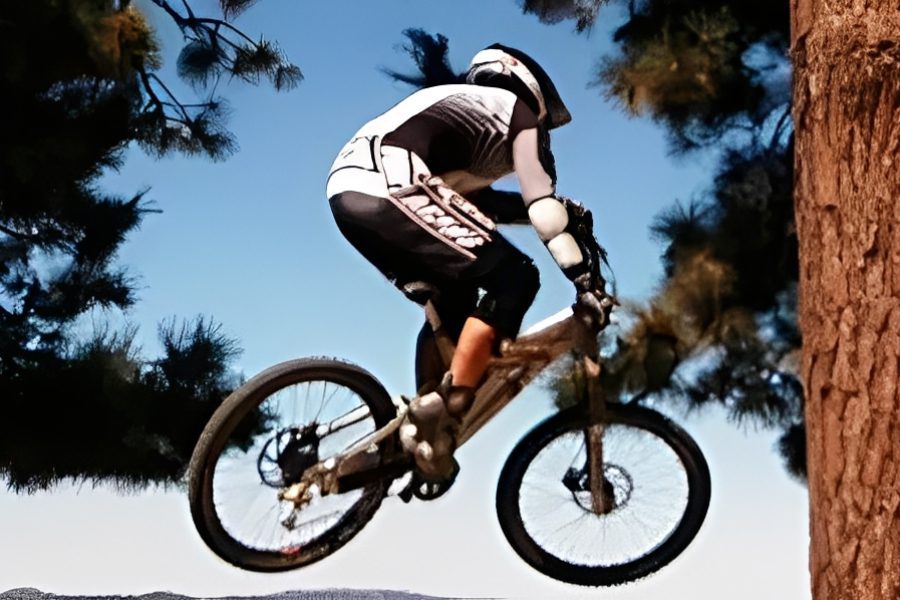 Mountain biker mid-air among trees.