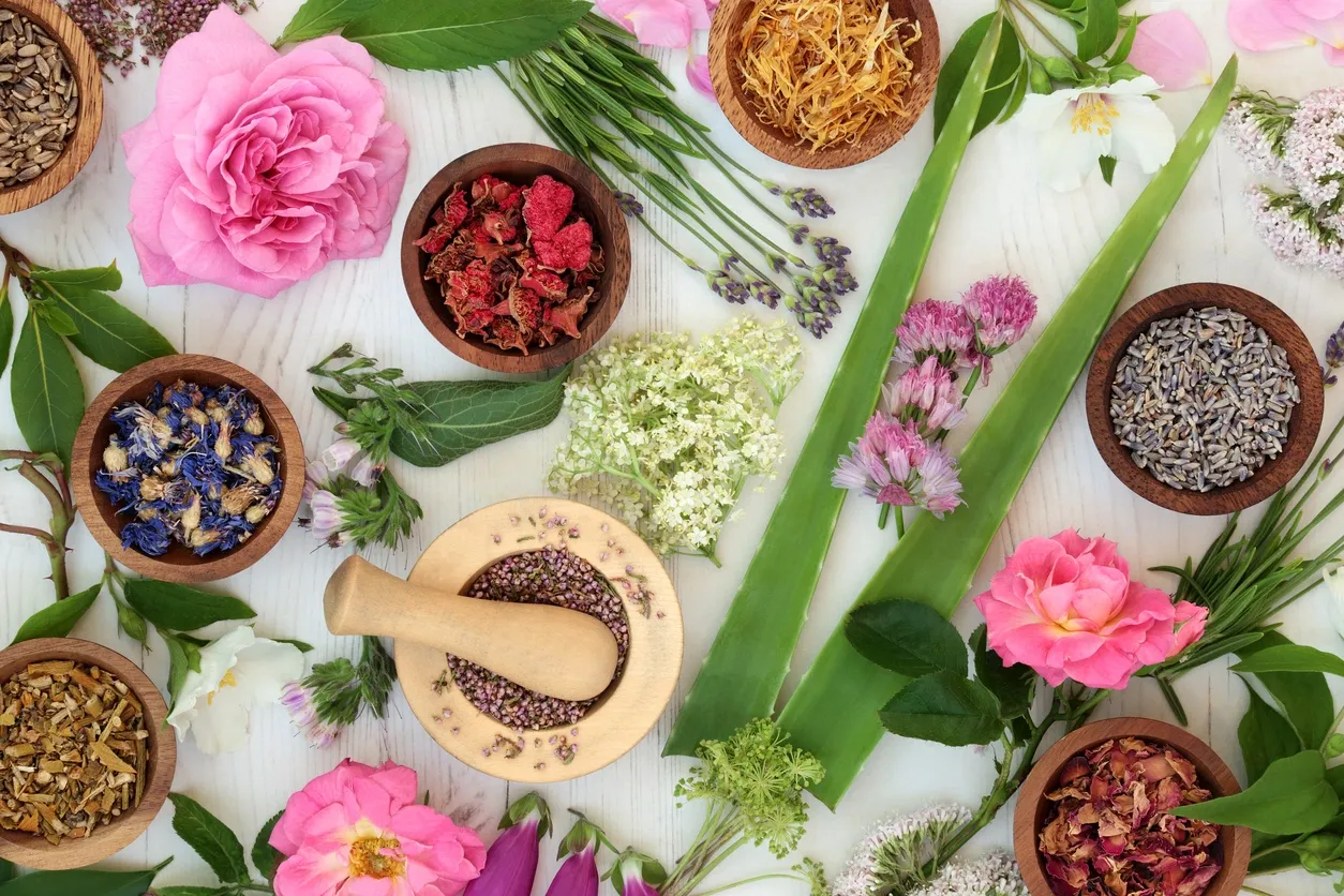 Herbs and flowers arranged with a wooden mortar and pestle.